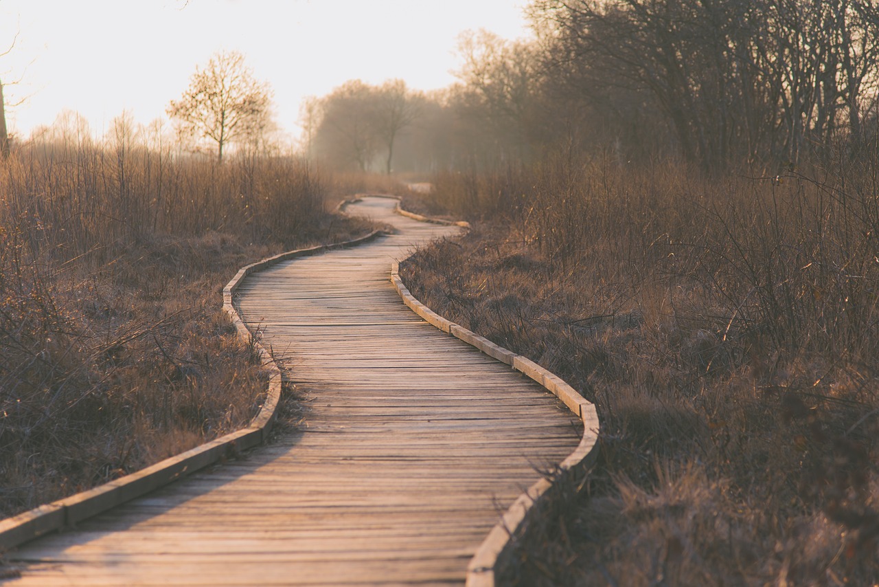 Your Path